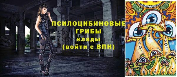 ешки Вязники