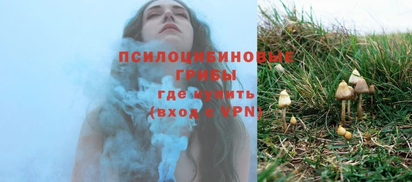 ешки Вязники
