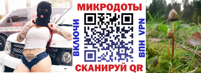 Купить  Кириллов  Псилоцибиновые грибы ЛСД 